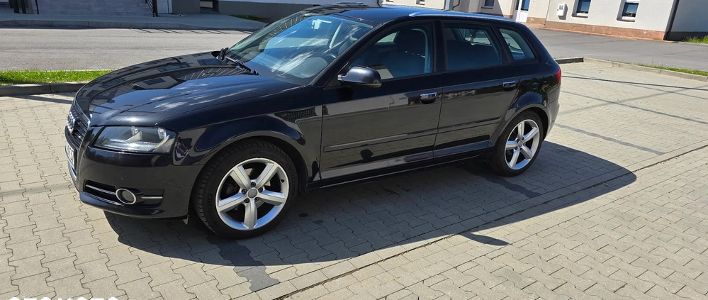 Audi A3 cena 33000 przebieg: 201500, rok produkcji 2010 z Debrzno małe 407